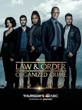 法律与秩序·组织犯罪第三季第1集